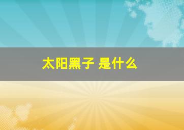 太阳黑子 是什么